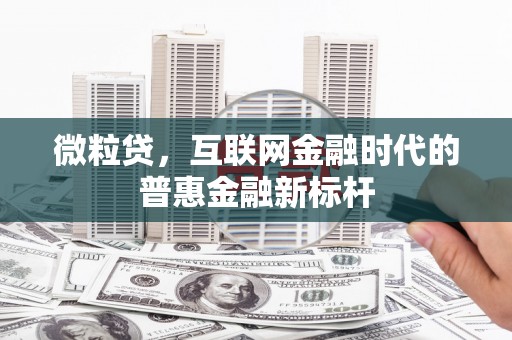 萨嘎微粒贷，互联网金融时代的普惠金融新标杆