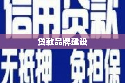 萨嘎贷款品牌建设