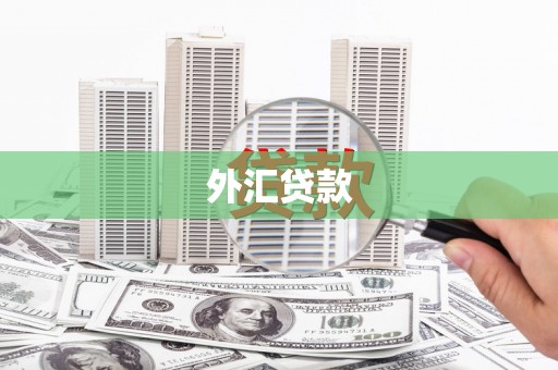 萨嘎外汇贷款