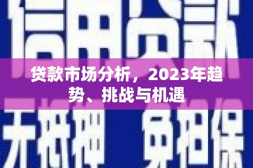 萨嘎贷款市场分析，2023年趋势、挑战与机遇