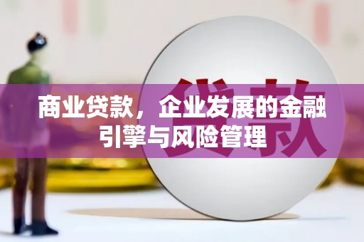 萨嘎商业贷款，企业发展的金融引擎与风险管理