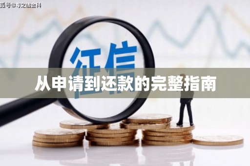 萨嘎从申请到还款的完整指南