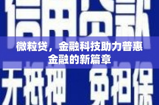 萨嘎微粒贷，金融科技助力普惠金融的新篇章
