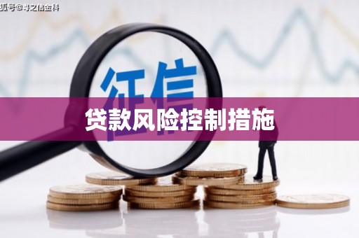 萨嘎贷款风险控制措施