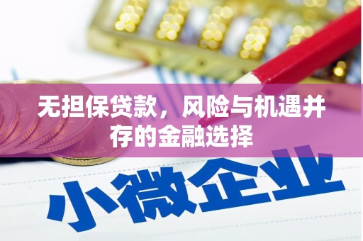 萨嘎无担保贷款，风险与机遇并存的金融选择
