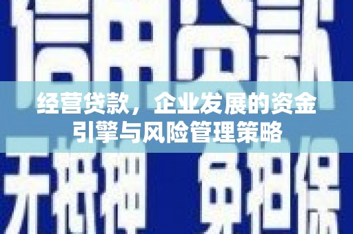 萨嘎经营贷款，企业发展的资金引擎与风险管理策略