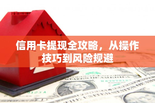 萨嘎信用卡提现全攻略，从操作技巧到风险规避