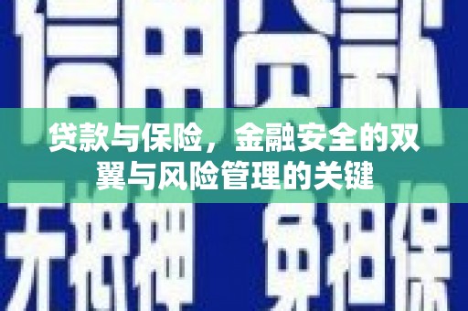 萨嘎贷款与保险，金融安全的双翼与风险管理的关键
