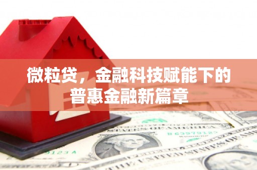萨嘎微粒贷，金融科技赋能下的普惠金融新篇章