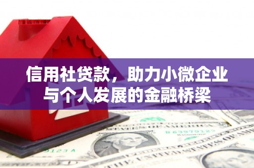 萨嘎信用社贷款，助力小微企业与个人发展的金融桥梁