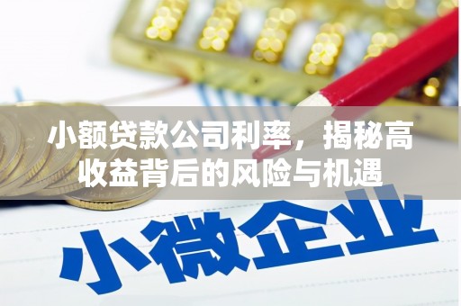 萨嘎小额贷款公司利率，揭秘高收益背后的风险与机遇