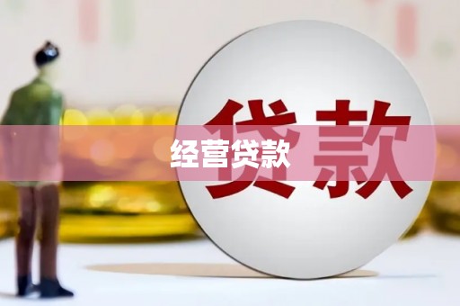 萨嘎经营贷款