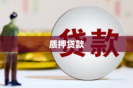 萨嘎质押贷款