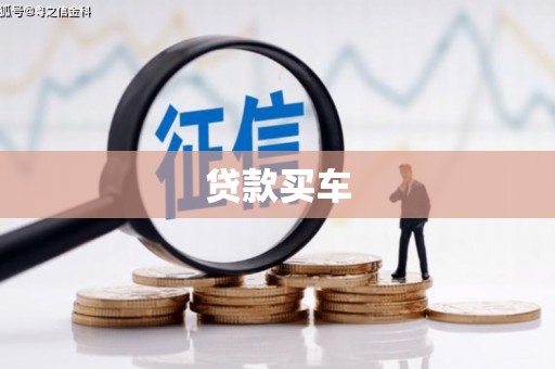 萨嘎贷款买车