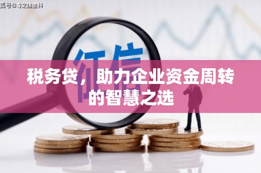 萨嘎税务贷，助力企业资金周转的智慧之选