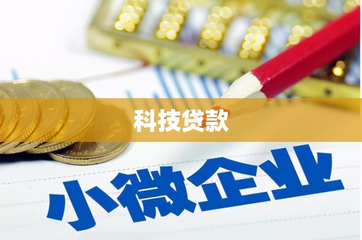 萨嘎科技贷款