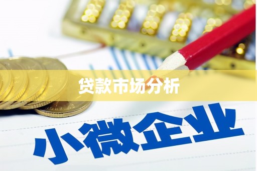 萨嘎贷款市场分析