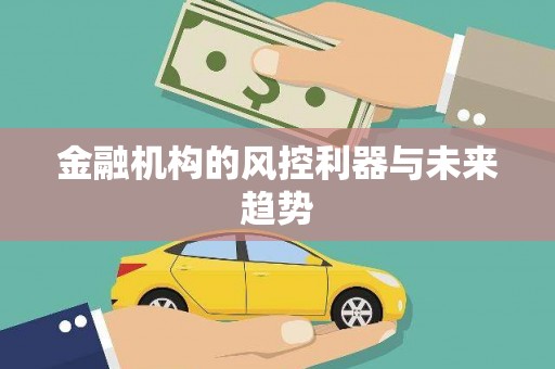 萨嘎金融机构的风控利器与未来趋势