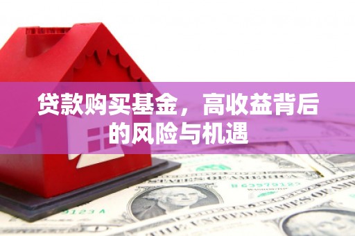 萨嘎贷款购买基金，高收益背后的风险与机遇