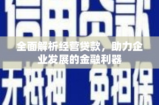 萨嘎全面解析经营贷款，助力企业发展的金融利器