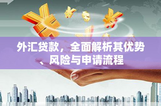 萨嘎外汇贷款，全面解析其优势、风险与申请流程