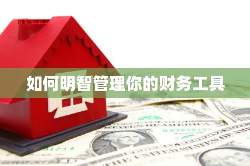 萨嘎如何明智管理你的财务工具