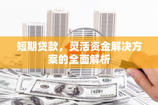 萨嘎短期贷款，灵活资金解决方案的全面解析