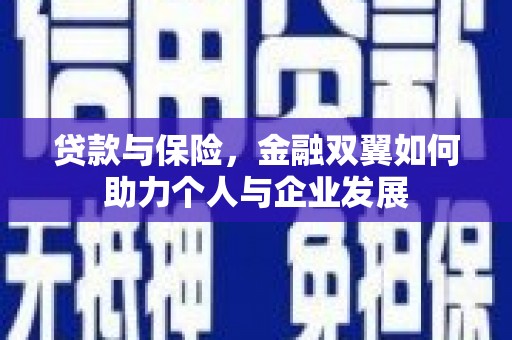 萨嘎贷款与保险，金融双翼如何助力个人与企业发展