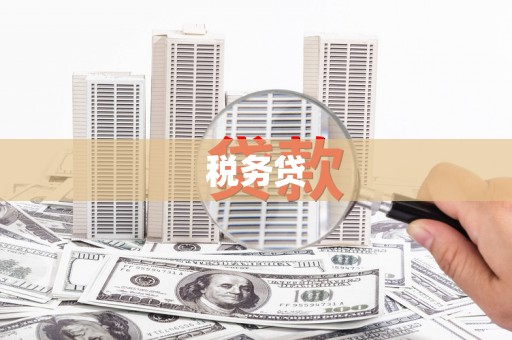 萨嘎税务贷