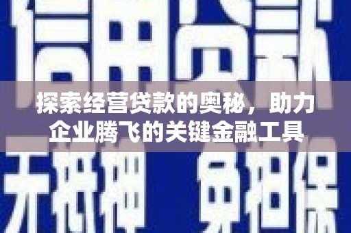 萨嘎探索经营贷款的奥秘，助力企业腾飞的关键金融工具