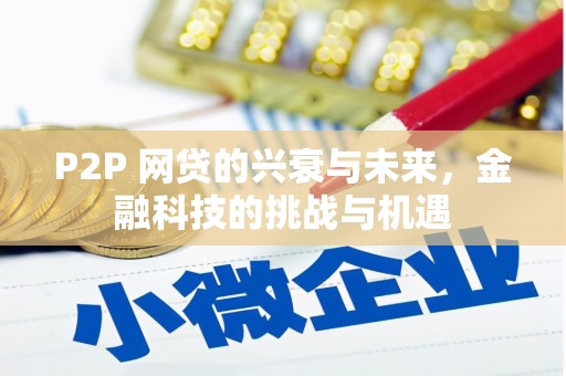 萨嘎P2P 网贷的兴衰与未来，金融科技的挑战与机遇