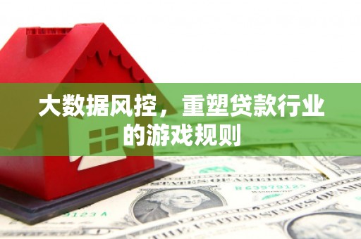 萨嘎大数据风控，重塑贷款行业的游戏规则