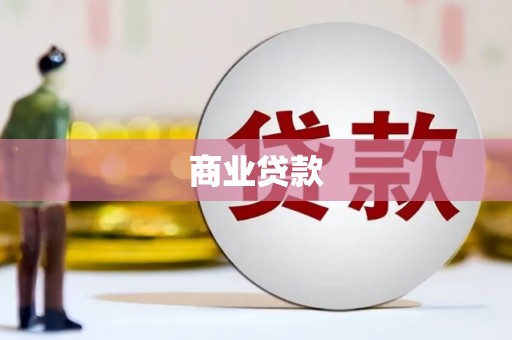 萨嘎商业贷款