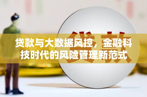 萨嘎贷款与大数据风控，金融科技时代的风险管理新范式
