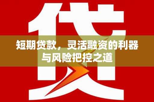 萨嘎短期贷款，灵活融资的利器与风险把控之道