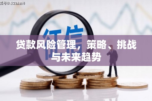 萨嘎贷款风险管理，策略、挑战与未来趋势