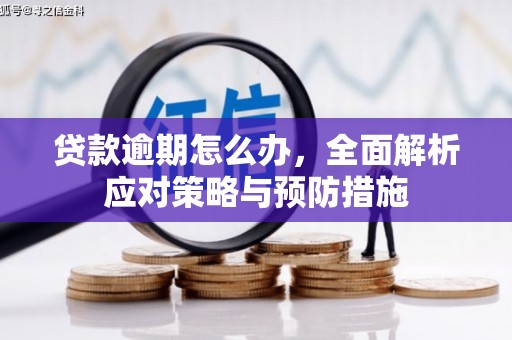 萨嘎贷款逾期怎么办，全面解析应对策略与预防措施