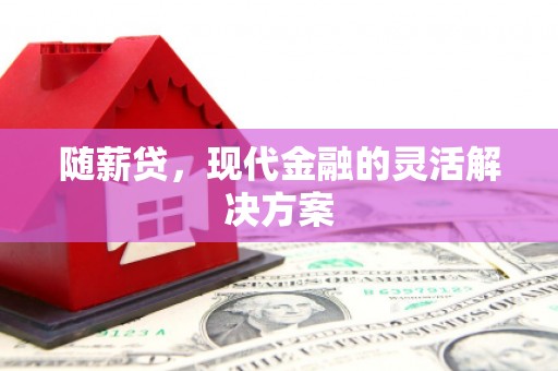 萨嘎随薪贷，现代金融的灵活解决方案