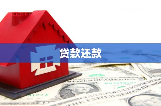 萨嘎贷款还款