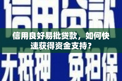 萨嘎信用良好易批贷款，如何快速获得资金支持？