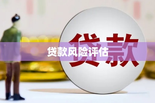 萨嘎贷款风险评估