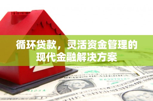 萨嘎循环贷款，灵活资金管理的现代金融解决方案