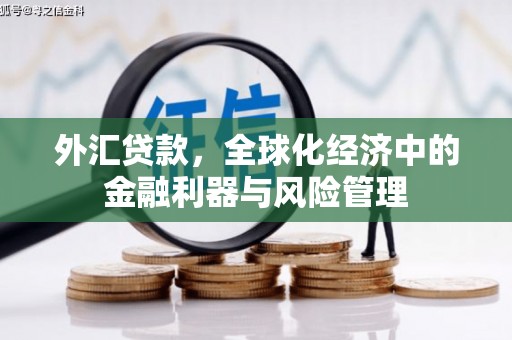萨嘎外汇贷款，全球化经济中的金融利器与风险管理