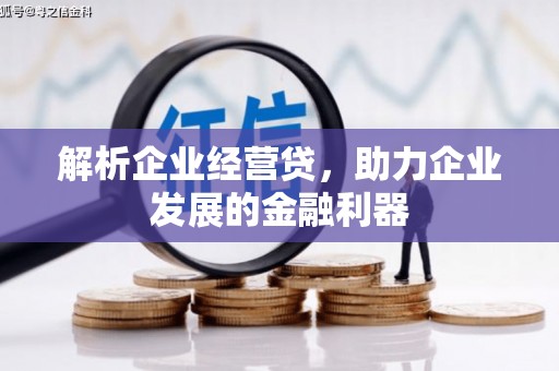 萨嘎解析企业经营贷，助力企业发展的金融利器