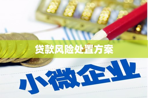 萨嘎贷款风险处置方案