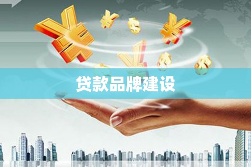萨嘎贷款品牌建设