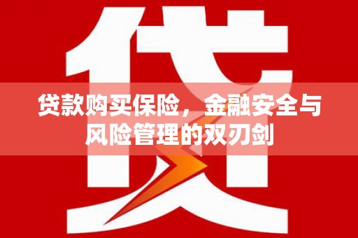 萨嘎贷款购买保险，金融安全与风险管理的双刃剑