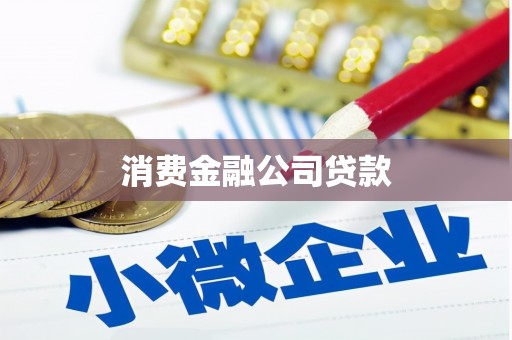 萨嘎消费金融公司贷款