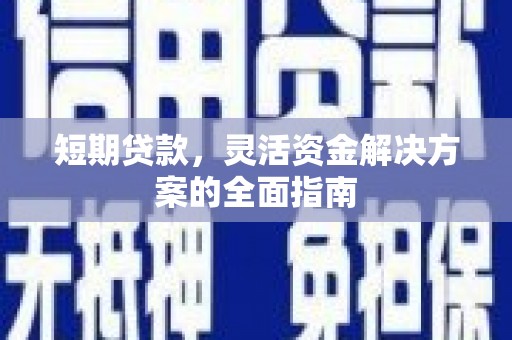 萨嘎短期贷款，灵活资金解决方案的全面指南