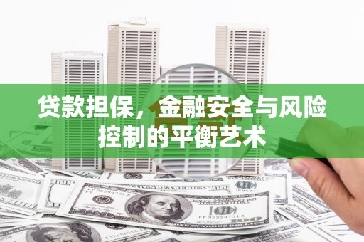 萨嘎贷款担保，金融安全与风险控制的平衡艺术